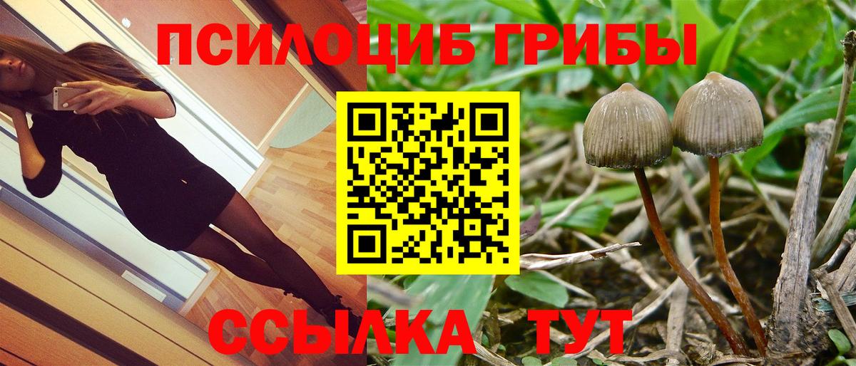 Псилоцибиновые грибы Magic Shrooms Гусиноозёрск
