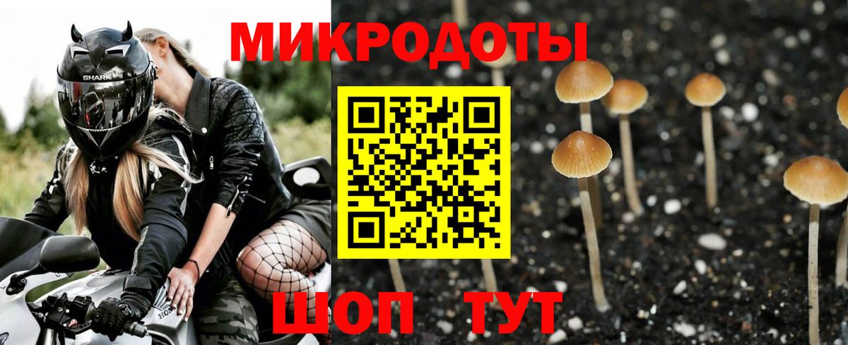 Псилоцибиновые грибы Cubensis  где купить наркотик  Вход с VPN  Гусиноозёрск  Галлюциногенные грибы Magic Shrooms 